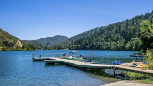 A vibrant dog park bathed in sunlight features abundant greenery with mature trees, offering ample shade for leisurely outdoor activities. In the distance is a well-equipped playground that presents an additional activity area. An inviting picnic table spreads out nearby, ideal for enjoying meals al fresco or taking relaxing breaks from play. A neatly-placed trash bin aids in maintaining the park's cleanliness for everyone's enjoyment. Dominating the scene is a generously wide dirt path gracefully curving through the expanse of grass, promising exploratory walks and lively fetch games.